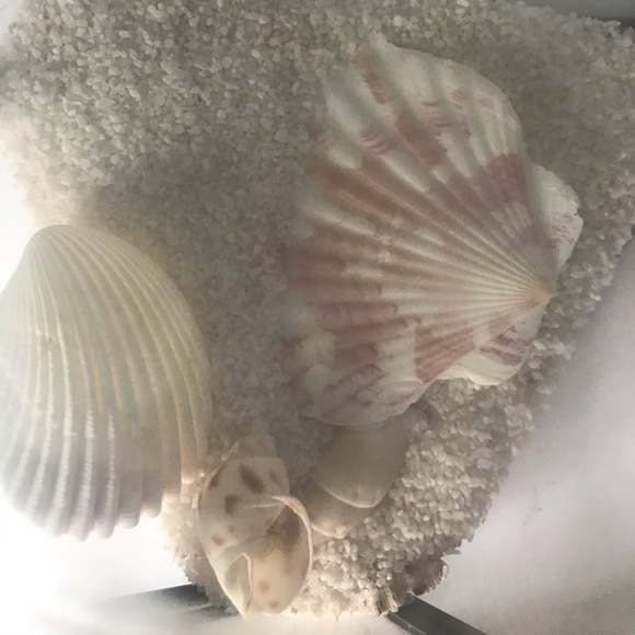 Decor - Picture 2 of 4